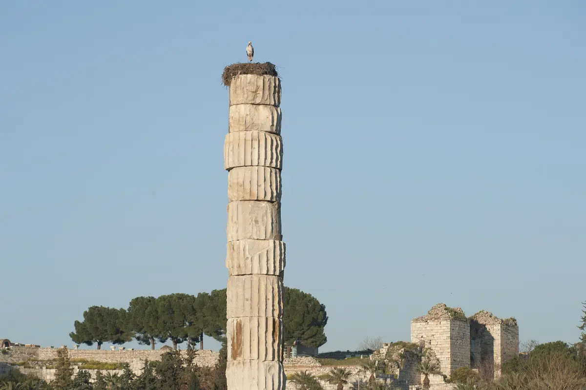 L’unique colonne encore debout du temple d’Artémis, surmontée d’un nid de cigogne, près de Selçuk