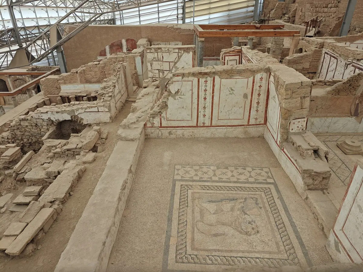 A room with mosaics in the Terrace Houses