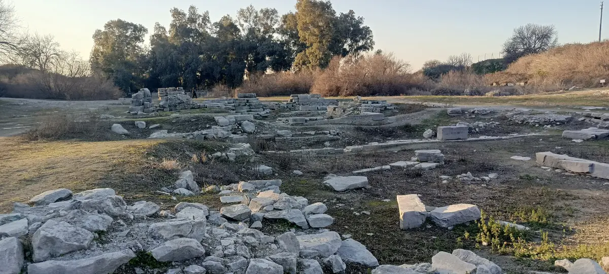 The site of the Temple of Artemis near Selçuk